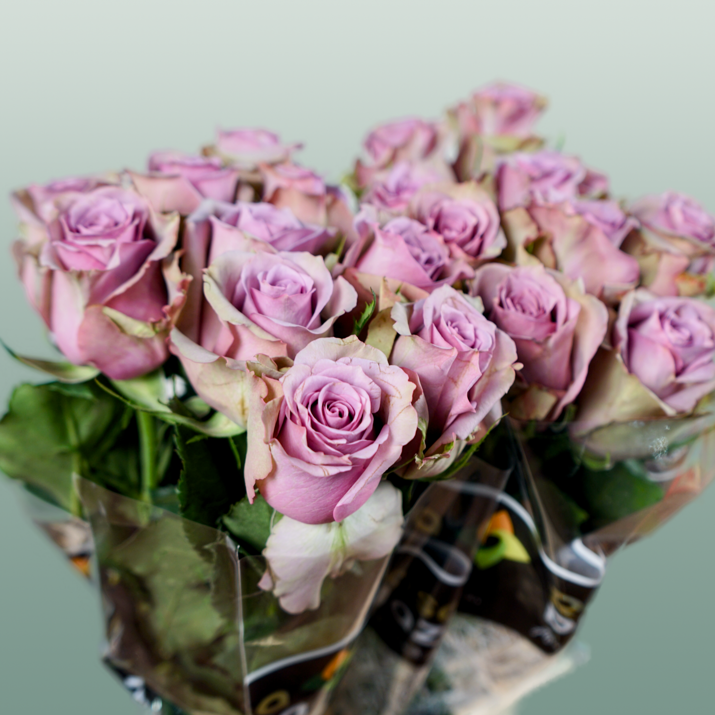 Rose Samantha Bridal