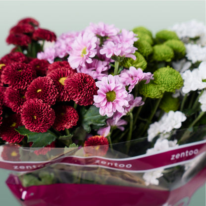 Chrysanthemum Santini Mix