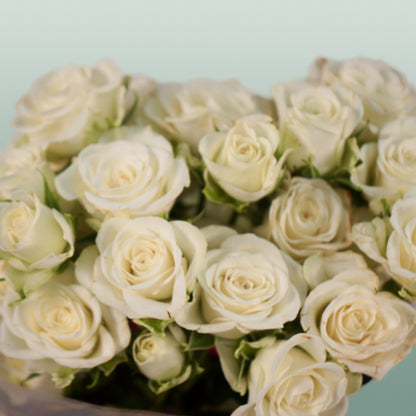 Spray Rose Snowflake