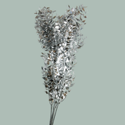 GR Ruscus Soft Dyed Silver