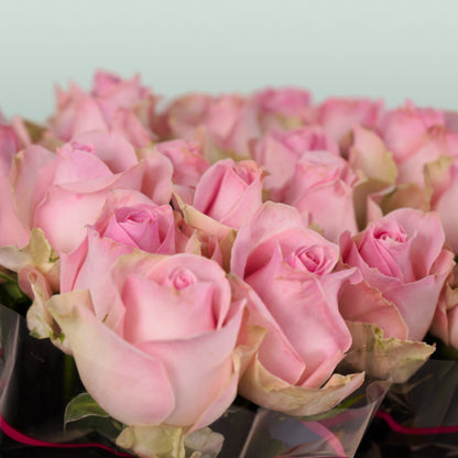 Rose Avalanche Sorbet (20 Stems)