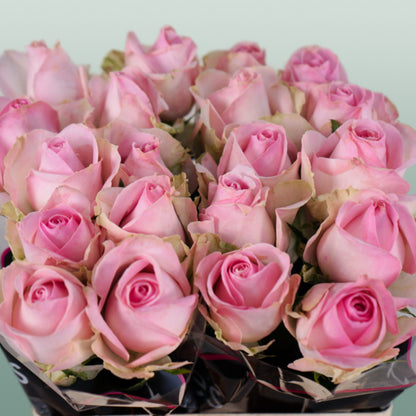 Rose Avalanche Sorbet (20 Stems)