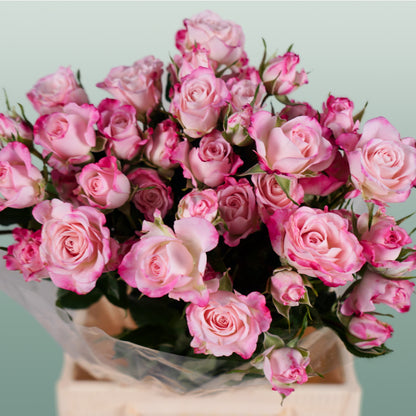 Spray Rose Speaking Blossoms