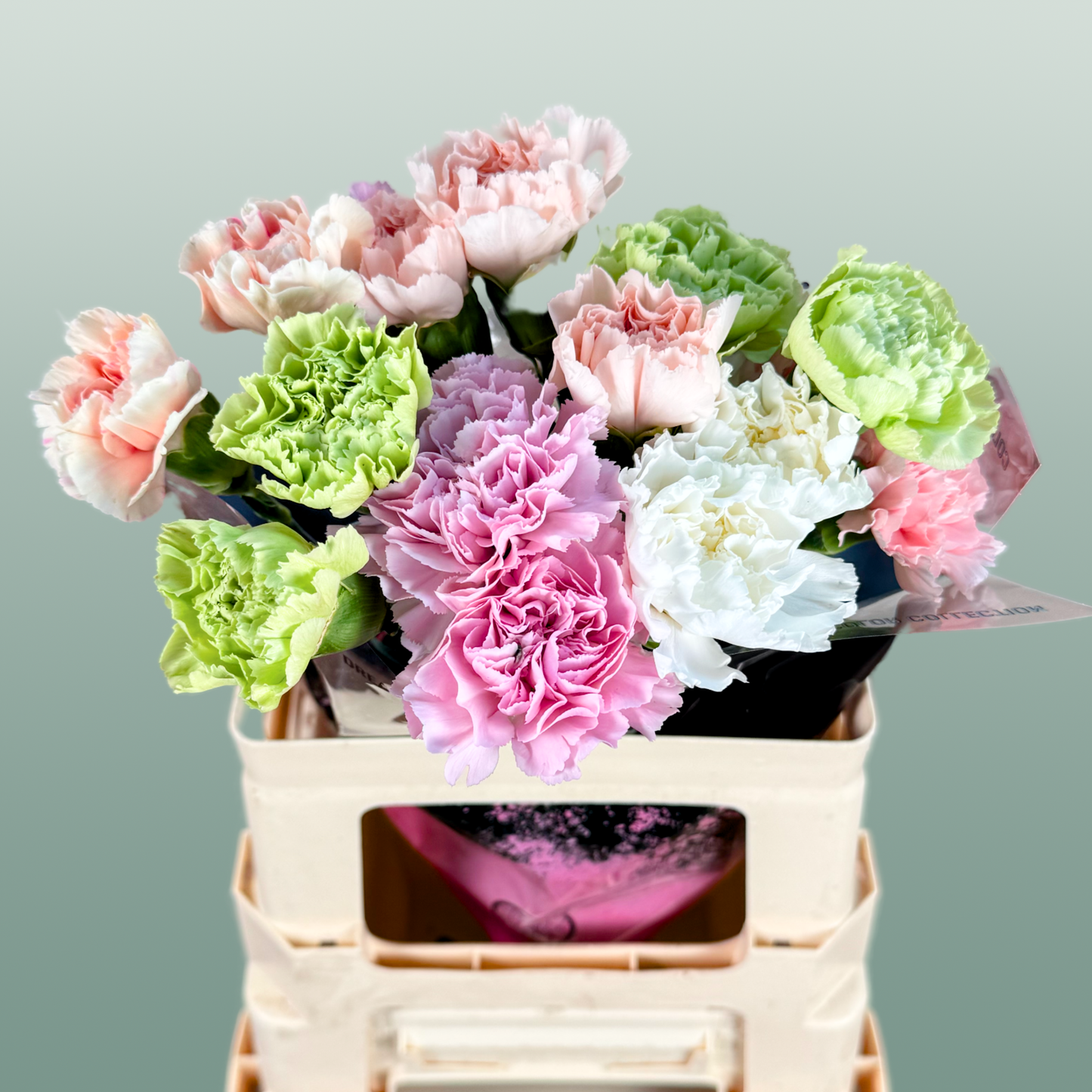 Carnation Standard Mix Pastel