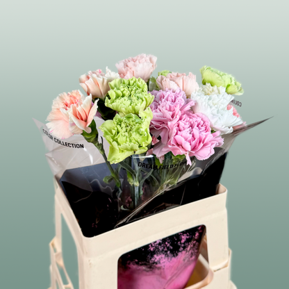Carnation Standard Mix Pastel