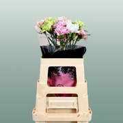 Carnation Standard Mix Pastel