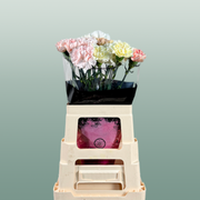 Carnation Standard Mix Wedding