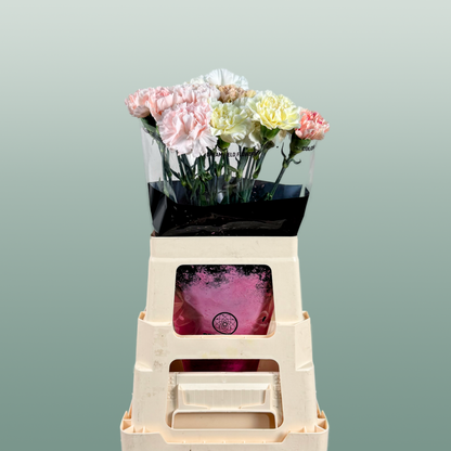 Carnation Standard Mix Wedding