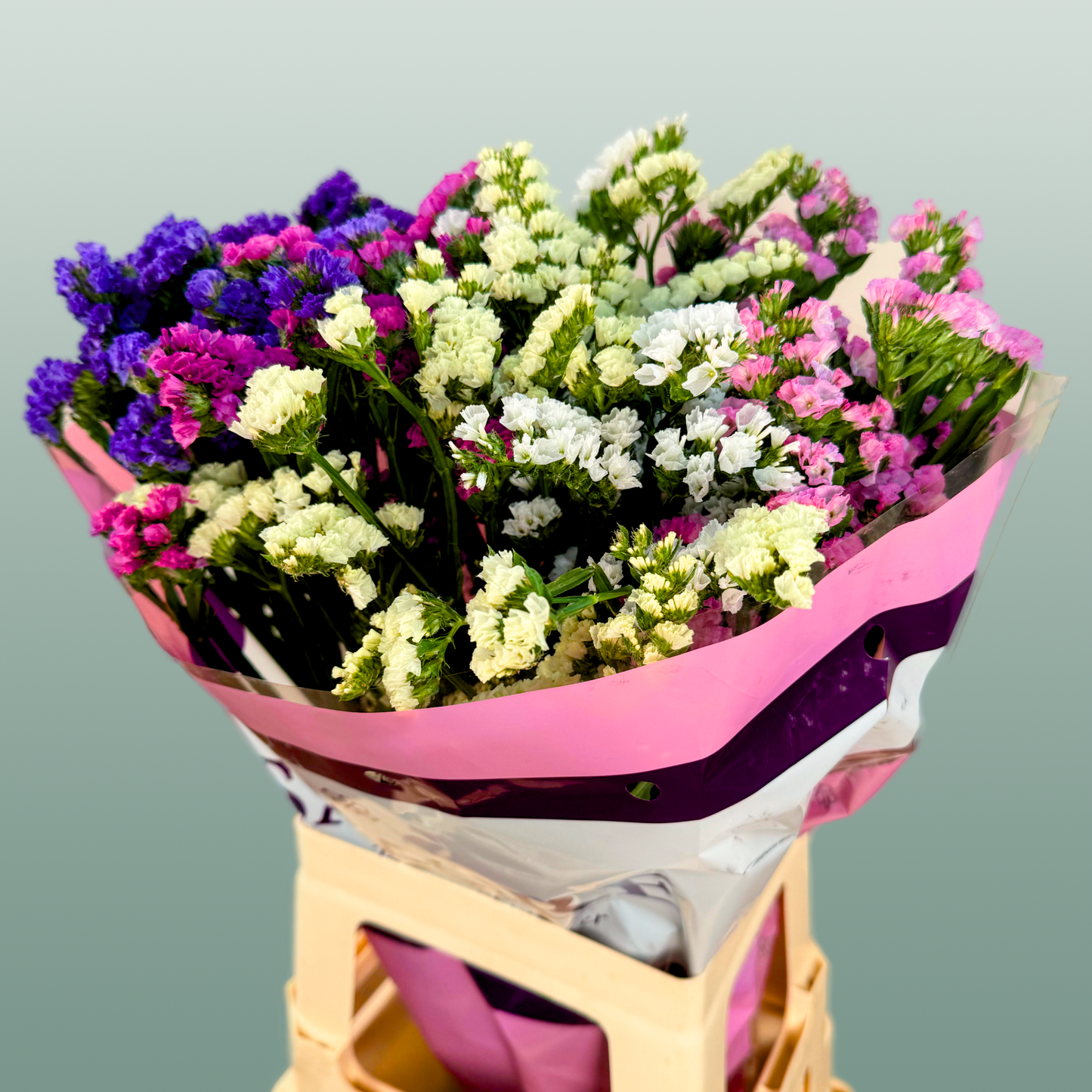 Limonium Statice Mix