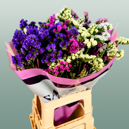Limonium Statice Mix