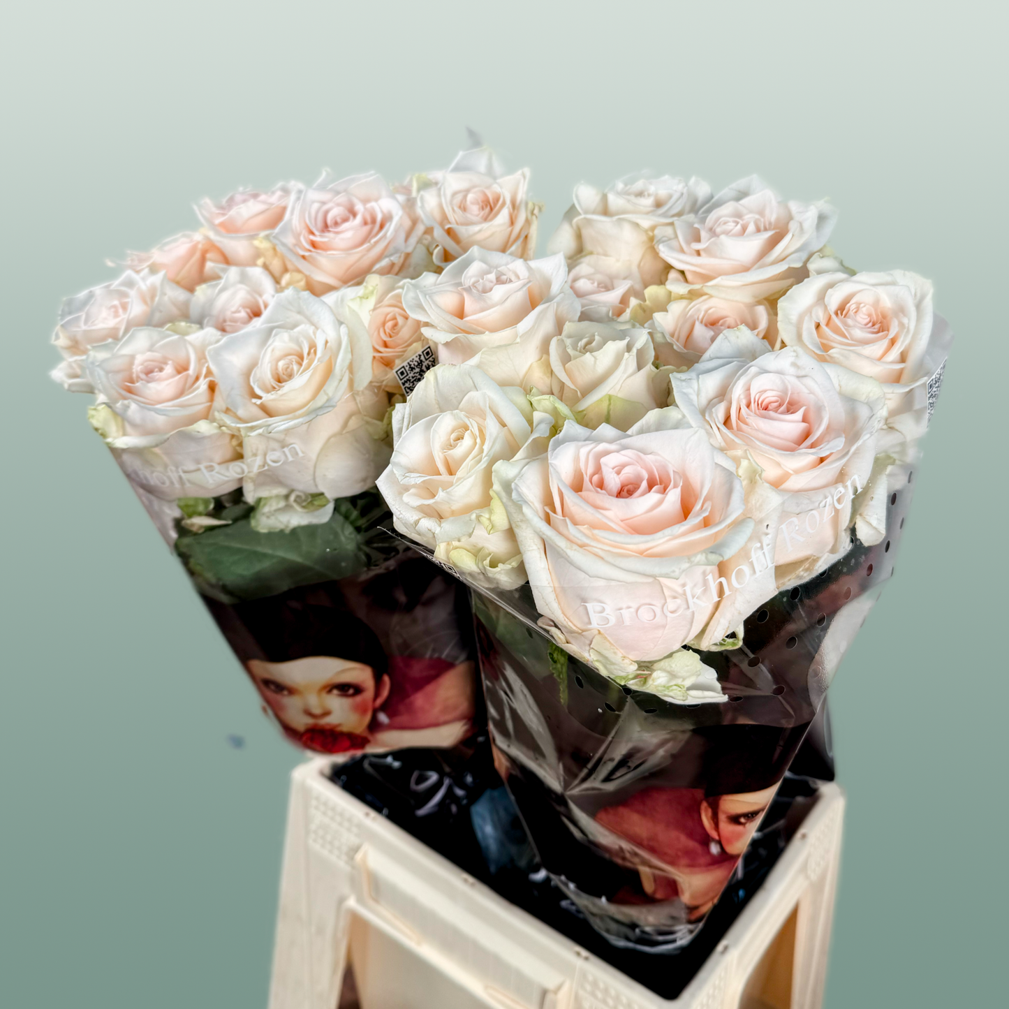 Rose Sweet Caroline