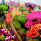 5 Stem Vibrant Bouquet (10 Bunches)