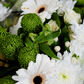 10 Stem White Bouquet (10 Bunches)