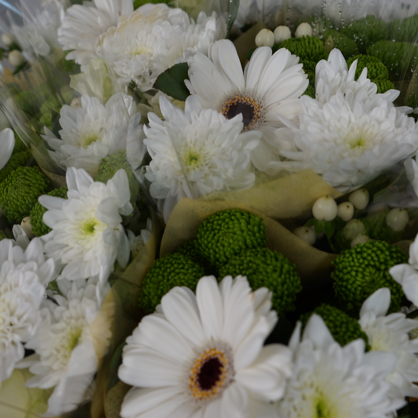 5 Stem White Bouquet (10 Bunches)