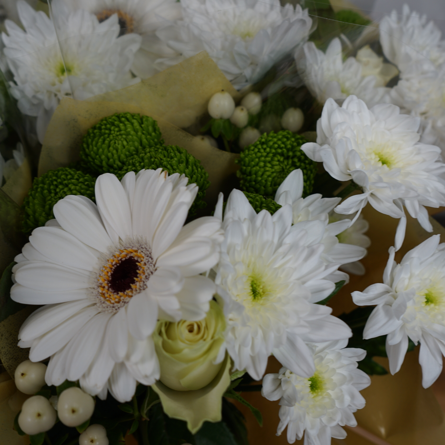 5 Stem White Bouquet (10 Bunches)