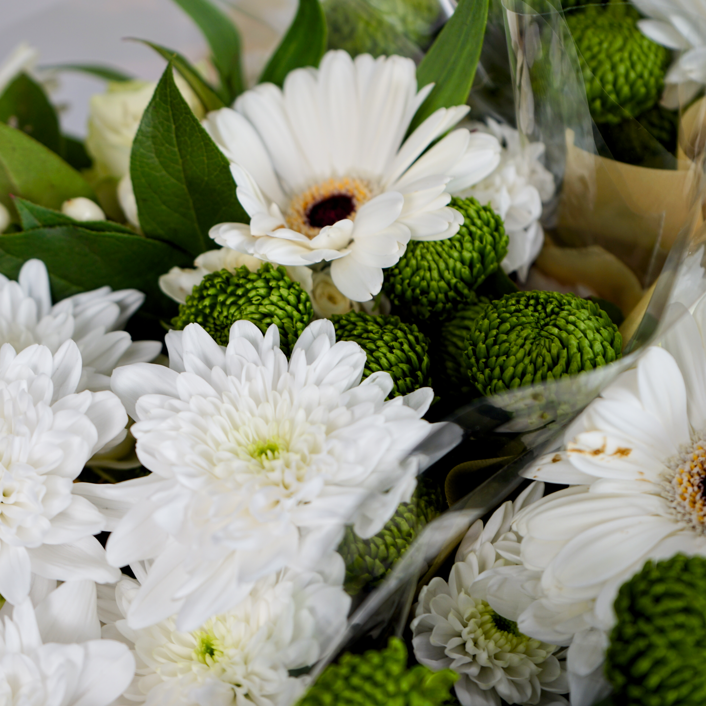 10 Stem White Bouquet (10 Bunches)