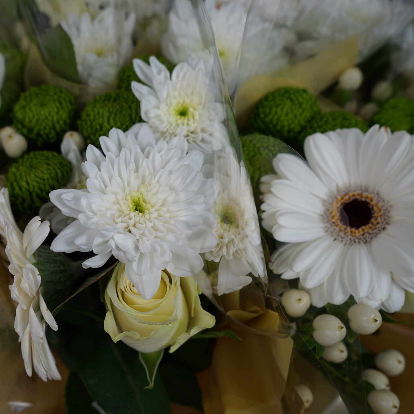 5 Stem White Bouquet (10 Bunches)