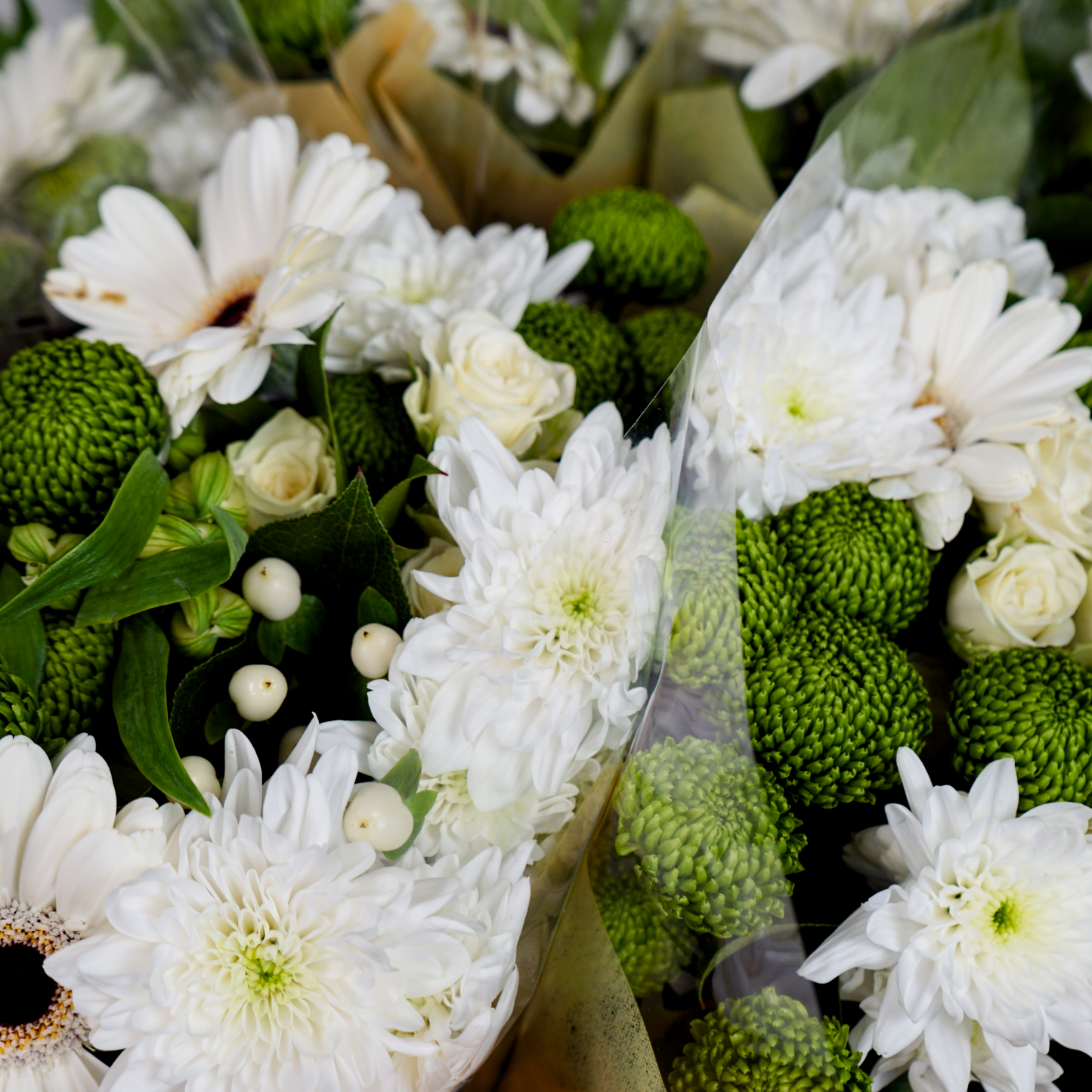 10 Stem White Bouquet (10 Bunches)