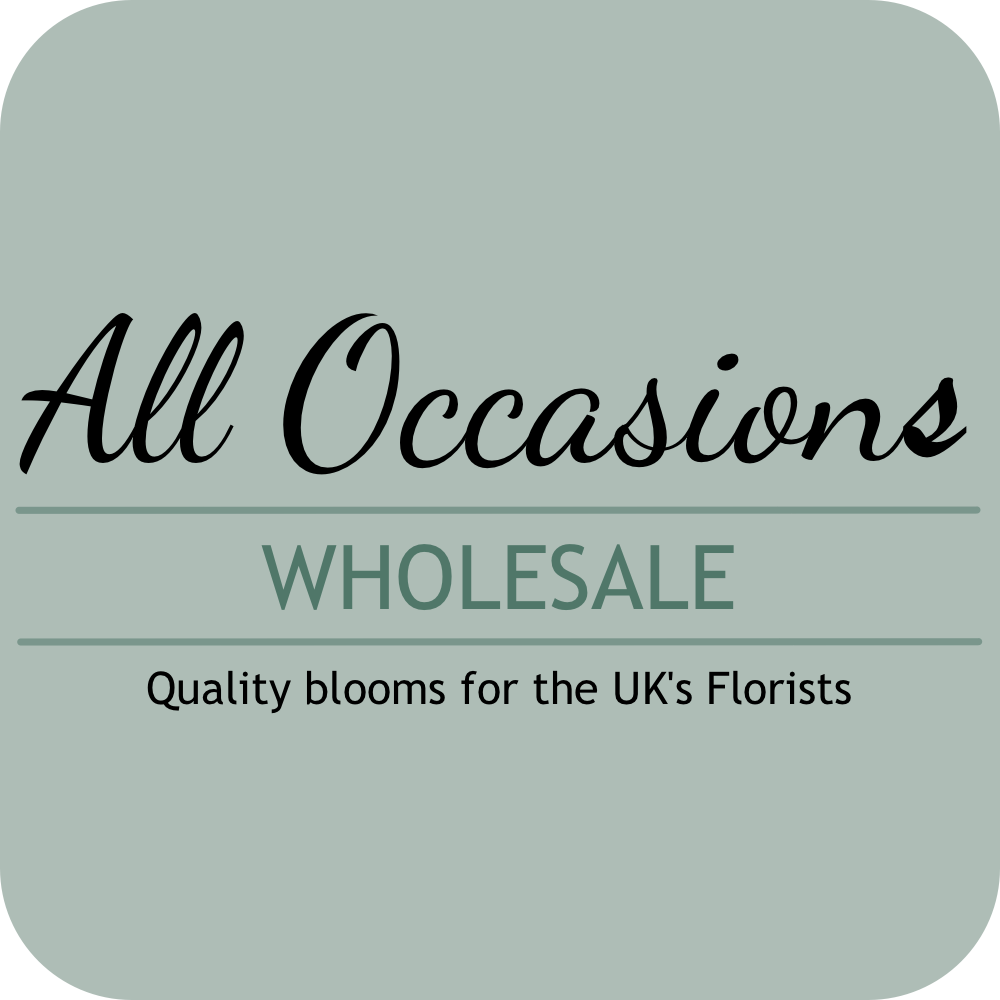Shop all – All Occasions Wholesale
