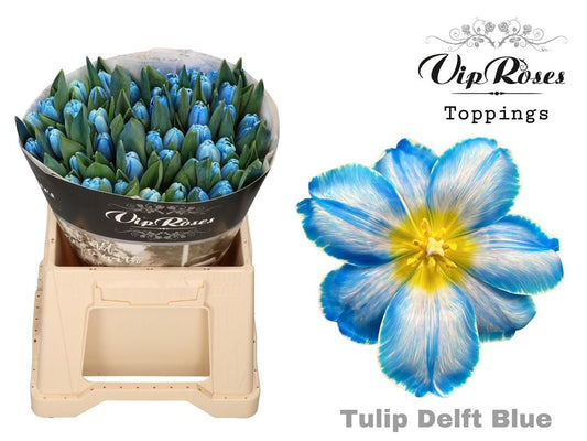Tulip En A Delft Blue