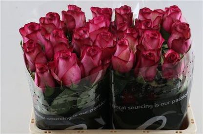 FeedSync:wholesale:55115547b6850b49a5a57db3fc6daec5dede6072