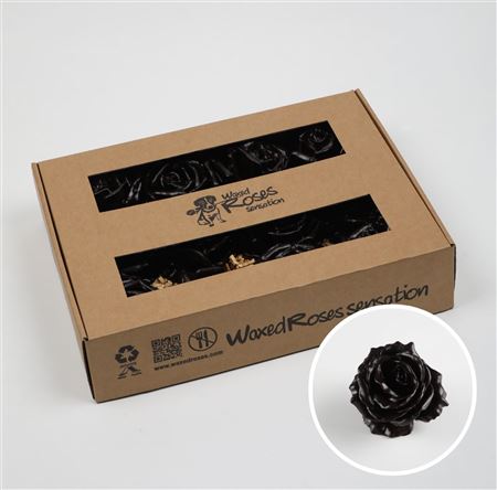 FeedSync:wholesale:f0fcb69af6a48c95a33639186ea1c80a3466204d