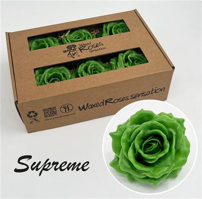 FeedSync:wholesale:ec85f204fdae4a0bfba4ec9c7d656bf8d5b39f11