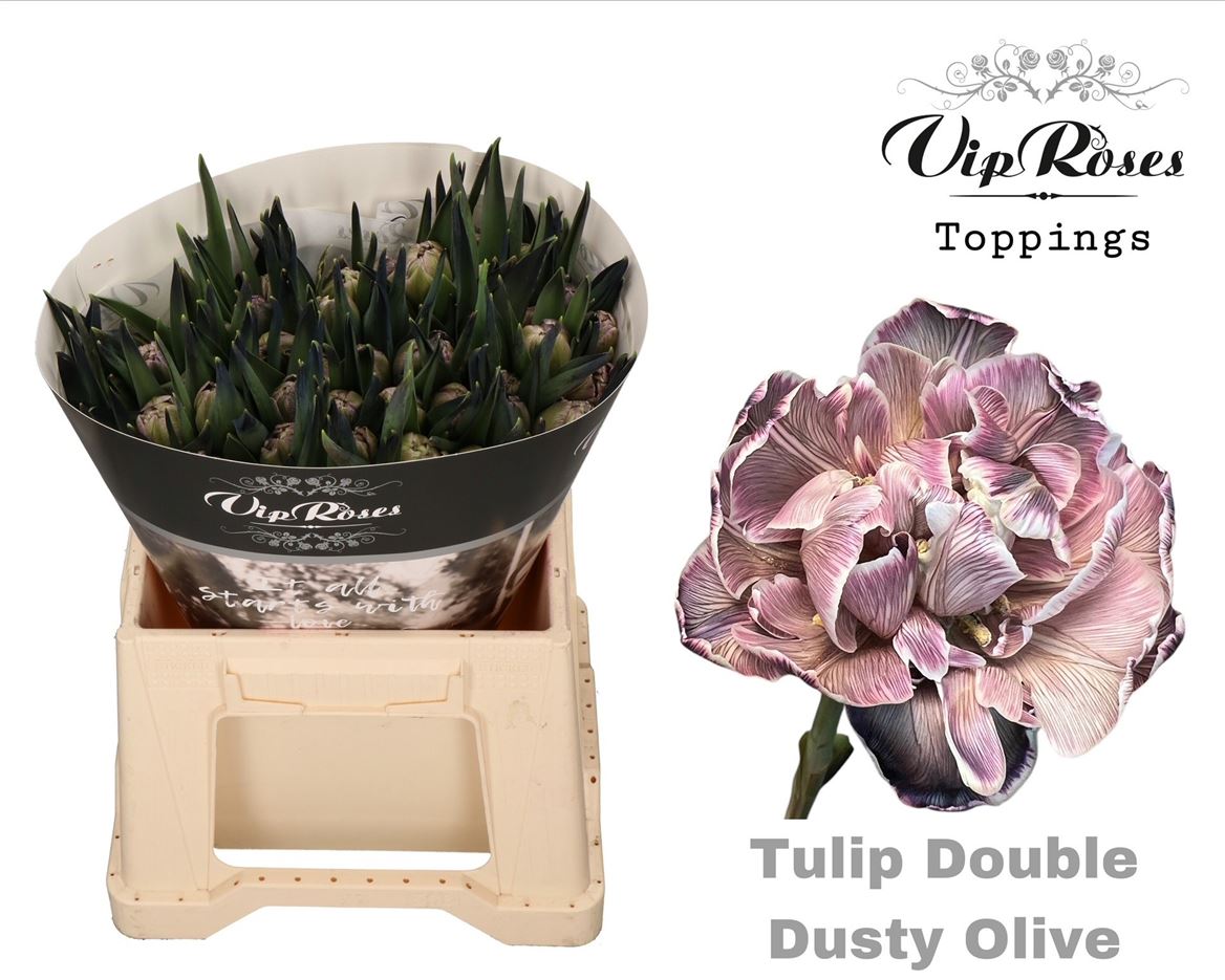 Tulip Du Double Dusty Olive