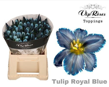 FeedSync:wholesale:29251059ae37b936ada17be7dcbe89c0d1e4a5f5