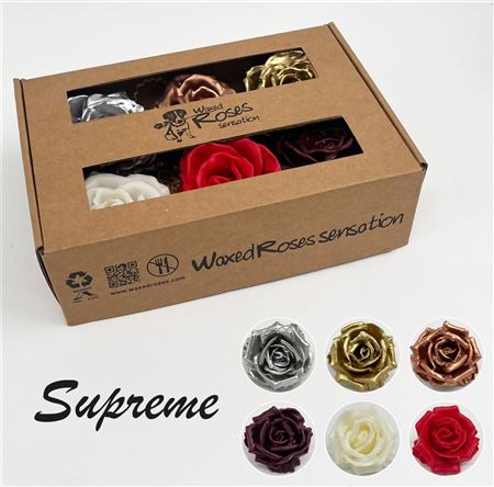 FeedSync:wholesale:64e107cd1c05930713db3b7a422a22f2204e610e
