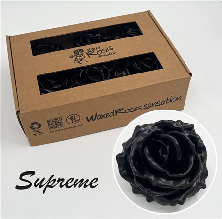 FeedSync:wholesale:78d78846d08e1121c4dc7b55605d6a22819eb5e1
