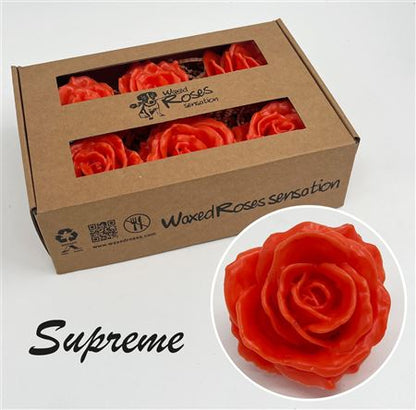 FeedSync:wholesale:e639e9937582bd148610bfd40034ae0d14576187