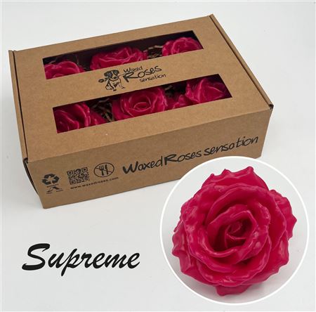FeedSync:wholesale:bb8335615e61ef42782422e79963df466786b7f2