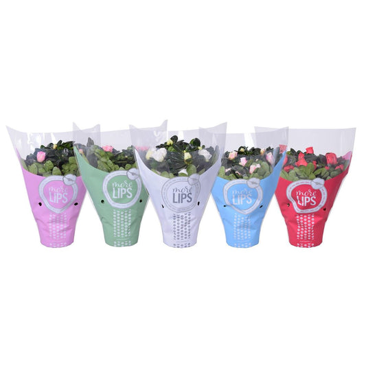 Rhodo Si Gemengd Morelips