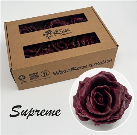 FeedSync:wholesale:9f287c6b3d87167b01ce83ff60cbbf8cb03312c5