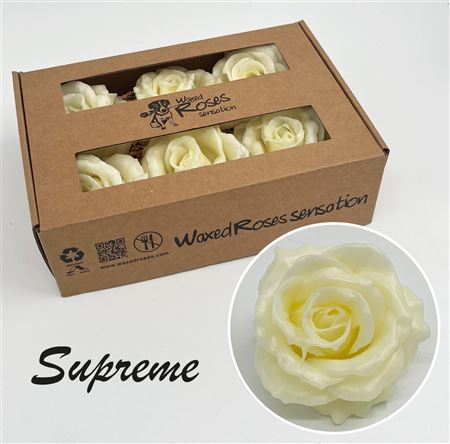 FeedSync:wholesale:f54d075ed0c28892c5967d4e182f11ff00563cfb