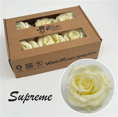 FeedSync:wholesale:f54d075ed0c28892c5967d4e182f11ff00563cfb