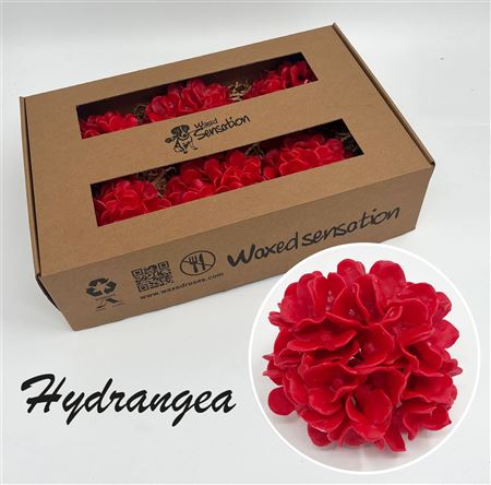 FeedSync:wholesale:b1ffaa517dee9ecfb293c34c317e9f6c58f273ce