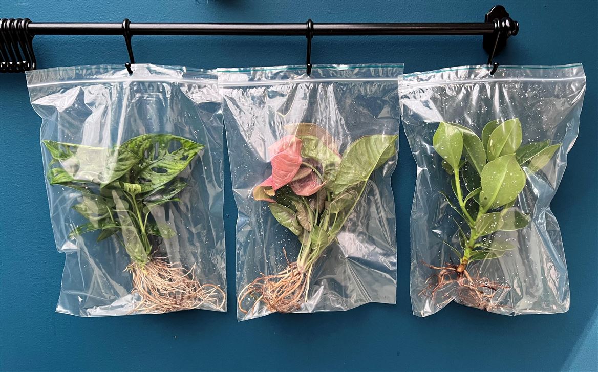 Opm Intenz Gemengd Refill Medium