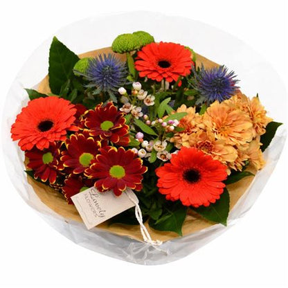 FeedSync:wholesale:b883ee191a44881f875f2963d2b3e3ac7ec2b447