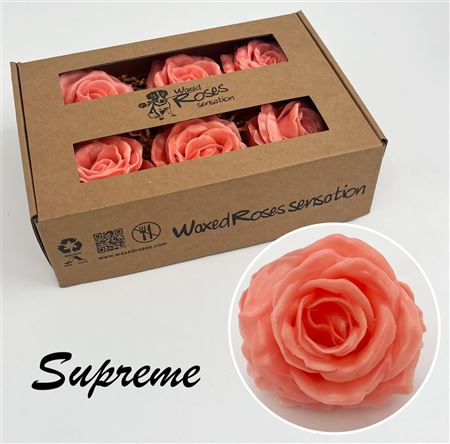 FeedSync:wholesale:e3ee233e938fb5a796c25591fbd676c95bb8e8a0