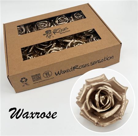 FeedSync:wholesale:72a6b749e48f021ca482ff09e9860e4dcab77581
