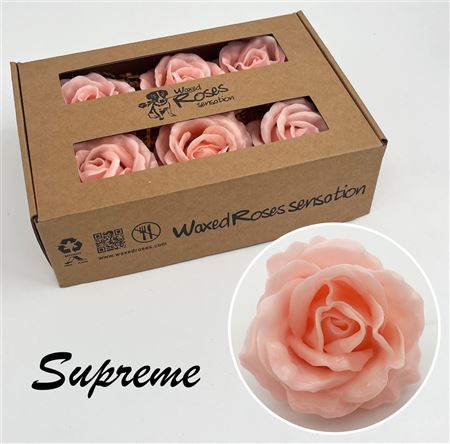 FeedSync:wholesale:3806c589c3e9cec33115c89dbe71a3c92ba8dd20