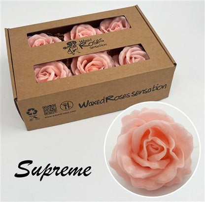 FeedSync:wholesale:3806c589c3e9cec33115c89dbe71a3c92ba8dd20
