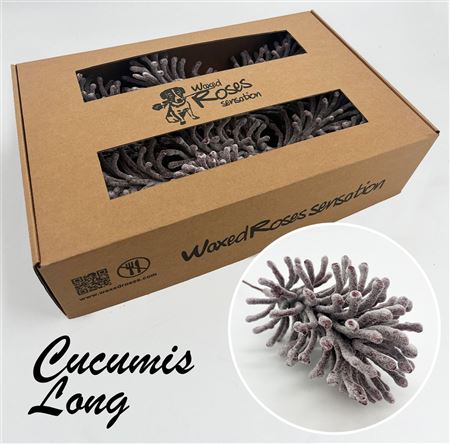 FeedSync:wholesale:404cb42684ea99830bbebf8cba072d3df8893703