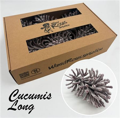 FeedSync:wholesale:404cb42684ea99830bbebf8cba072d3df8893703