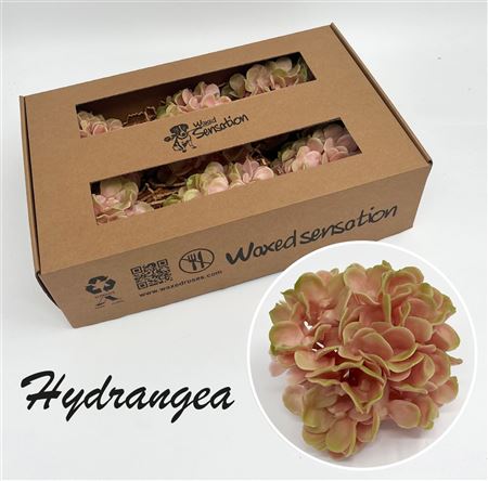 FeedSync:wholesale:0feef85908cb779d904001d0028c144afa79694c