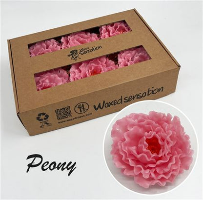 FeedSync:wholesale:b28b8c80c2aabd4e6dd556e574606a00e177ed6a