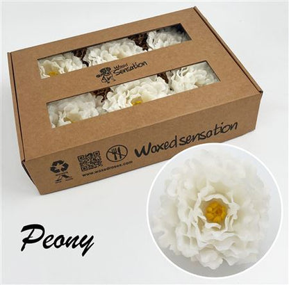 FeedSync:wholesale:ba7946c0666923f6d3e297bb718e589fccc25e0b