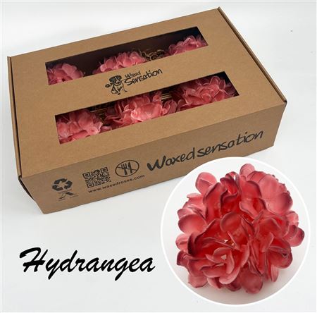 FeedSync:wholesale:d993404a25877b2c377dba0694a2db4fd06c18cc